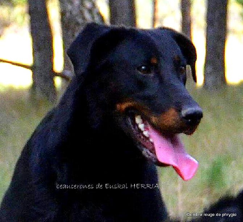 Publication : de euskal herria