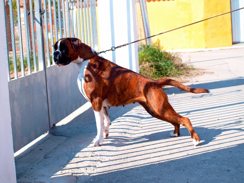 Publication : Di Cuore Dei Sur 