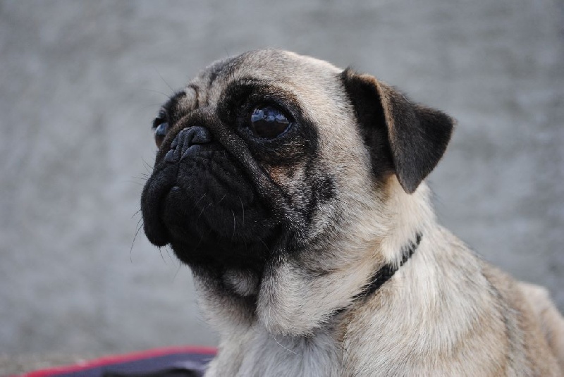 Haya Des sources sacrees