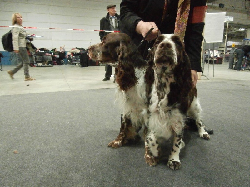 Publication : du clos de la pouillette