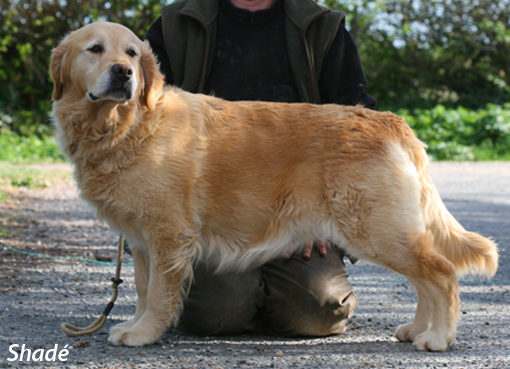 Publication : Dix-Huit Carats Auteur : dix huit carats 