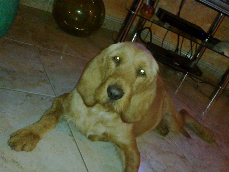 Publication : du rec de la borie Auteur : Franck CAZALS