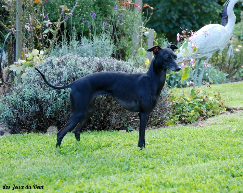 Esna des princes de Kazan