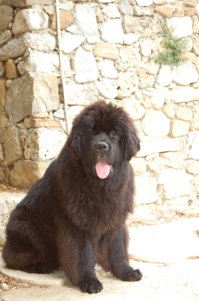 Publication : di mareland