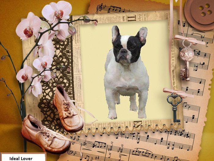 Publication : Dust Of Love Auteur : cathy davoigneau