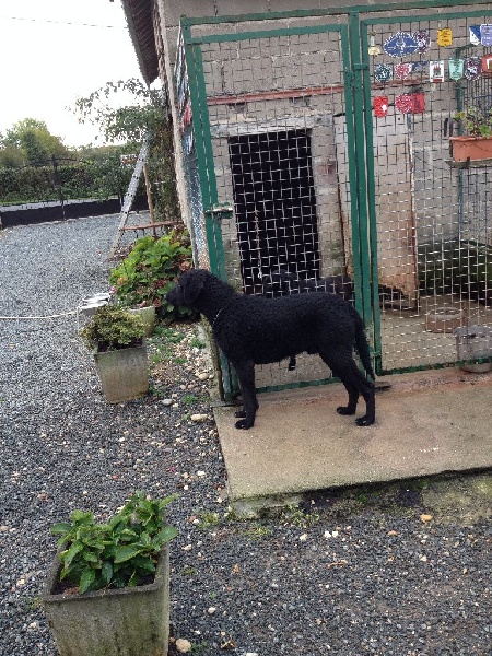 Publication : Du pays fort Auteur : Janine Charrette