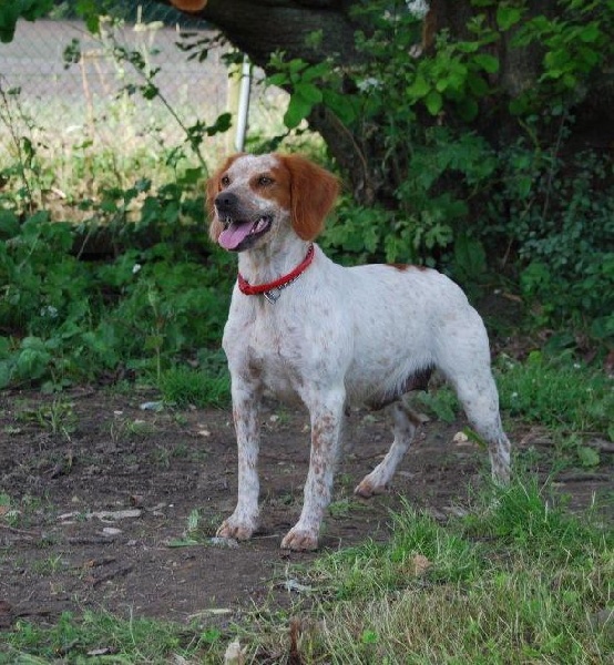 Ebene Du palais des papes