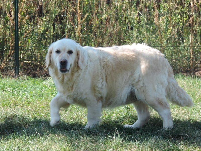 Publication : De L'étang Au Miroir Auteur : christel Gris