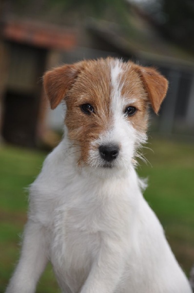 Publication : Sunset D'hell