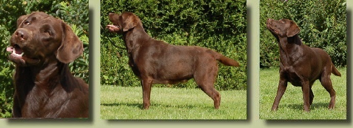 Publication : of Crystal Valley Auteur : s legras