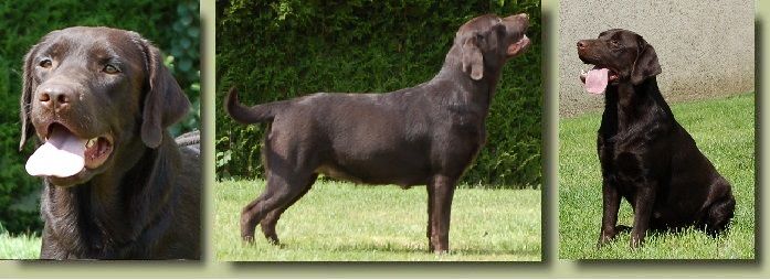 Inès of Crystal Valley