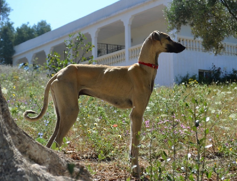 Publication : Des Hauts de la Claie Des Fonds Auteur : monsieur Gautheret