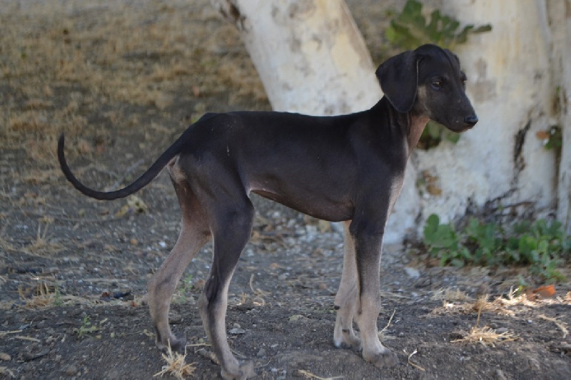 Publication : Des Hauts de la Claie Des Fonds Auteur : mr Gautheret
