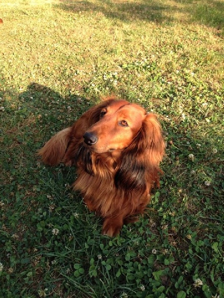 Publication : Du cap des embruns Auteur : dumont