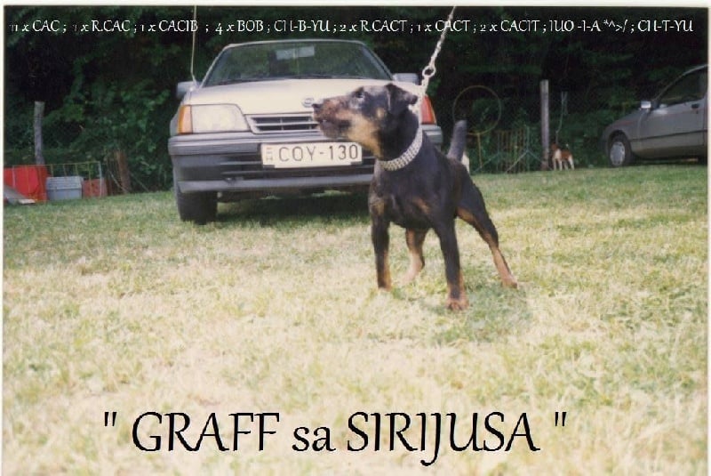 CH. Graff sirijus