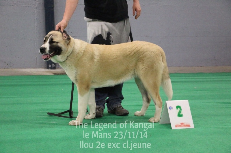 Publication : The Legend Of Kangal