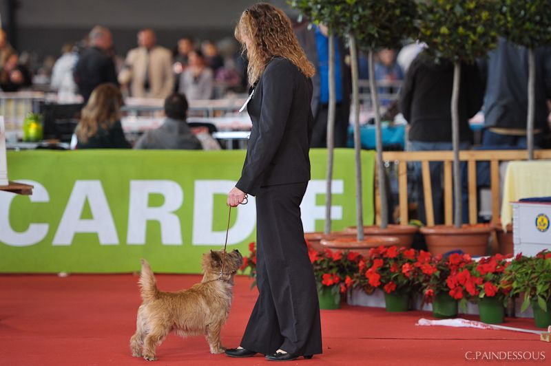 Publication : de la terrardiere Auteur : cedric paindessous