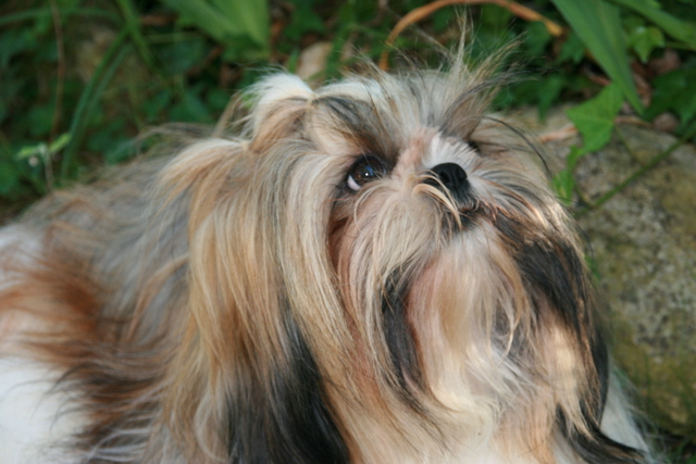 Publication : Des Petites Douceurs