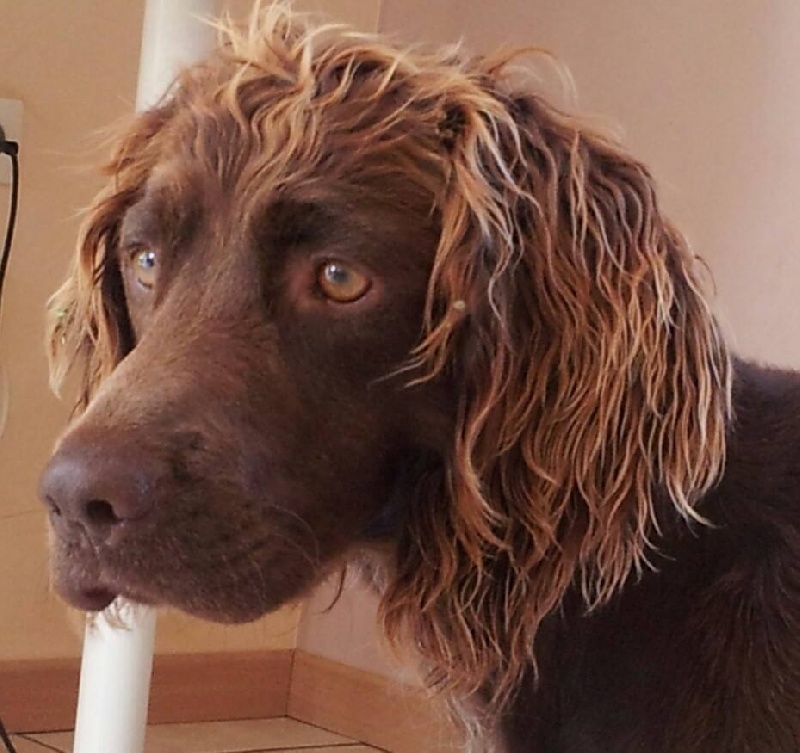 Publication : des coteaux de Yannijean 