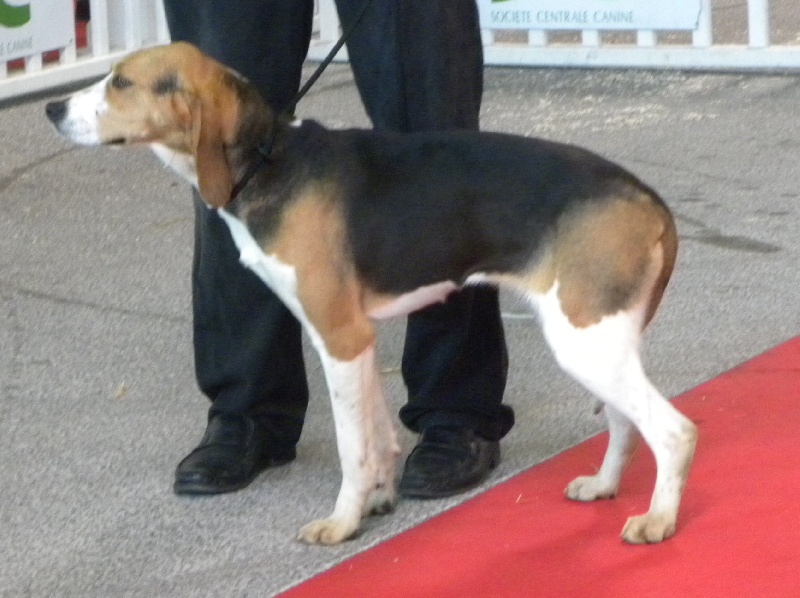 Esmeralda paola nadege (Sans Affixe)