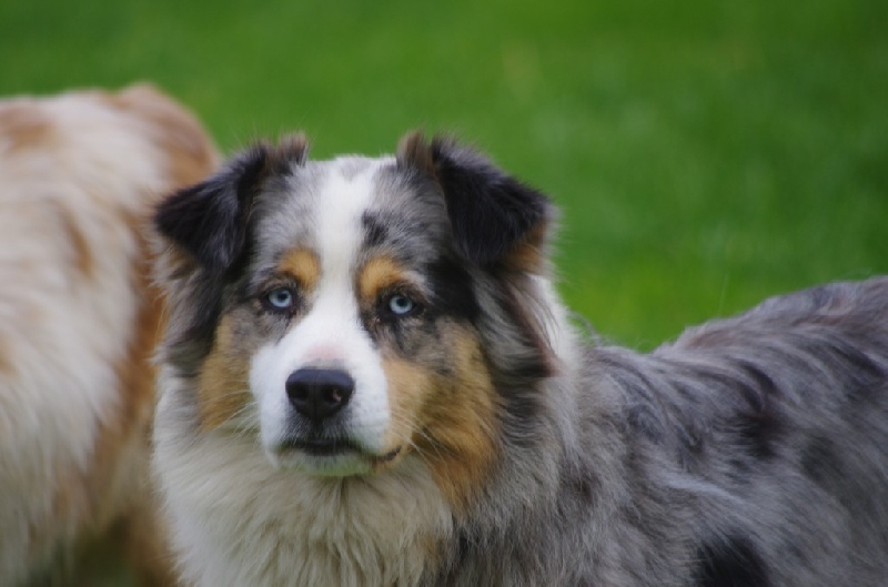 Publication : Eagle Creek's Auteur : val