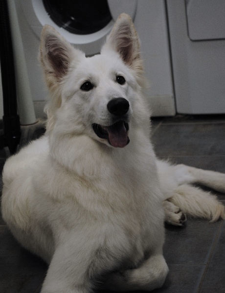 Publication : du Clan Macval 