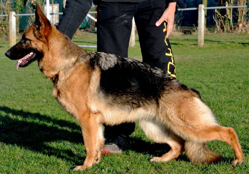 Yasmin de villalazan