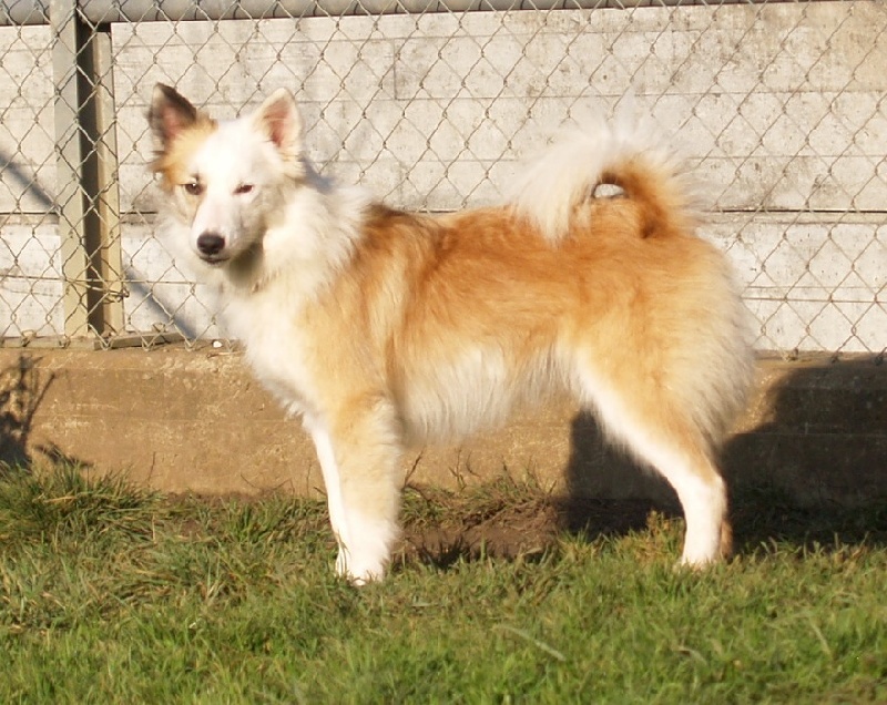 Publication : Lazy river of jurassic valley Auteur : Laub ruth