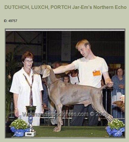 Jar em's northern echo