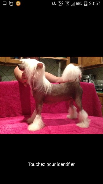 Publication : De L'american Gentleman 