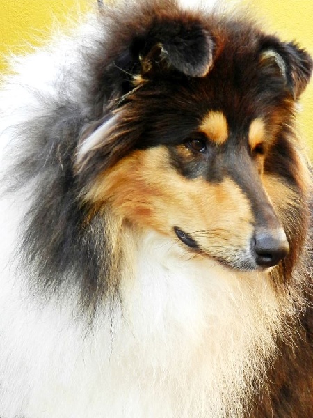 Publication : Black Collectión Auteur : Patricia Paredes Soria