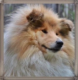 Publication : De La Nit