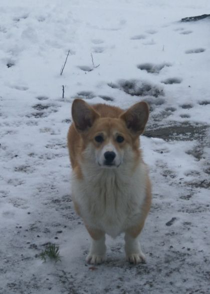 Publication : Du Domaine Brunemont