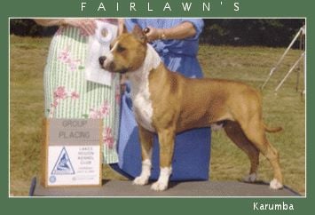 fairlawn's Karumba