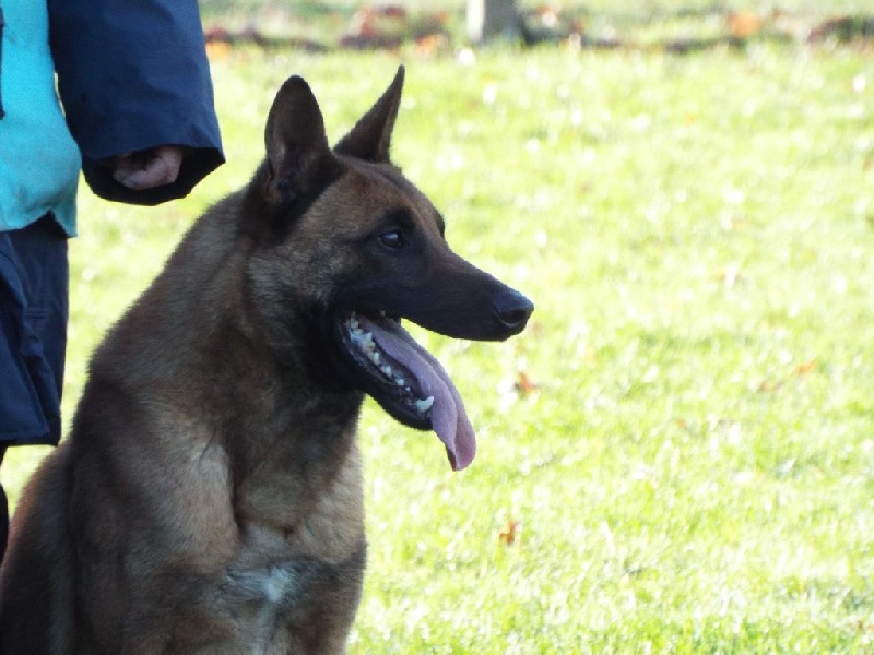 Iiec'hed mat Des plaines de thierache