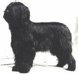 CH. mariel de marque Vanessa