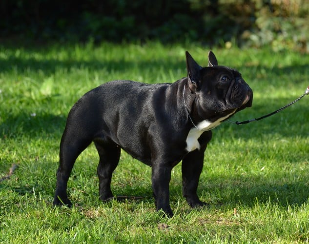 Publication : du jardin des gourmandises Auteur : madelaine