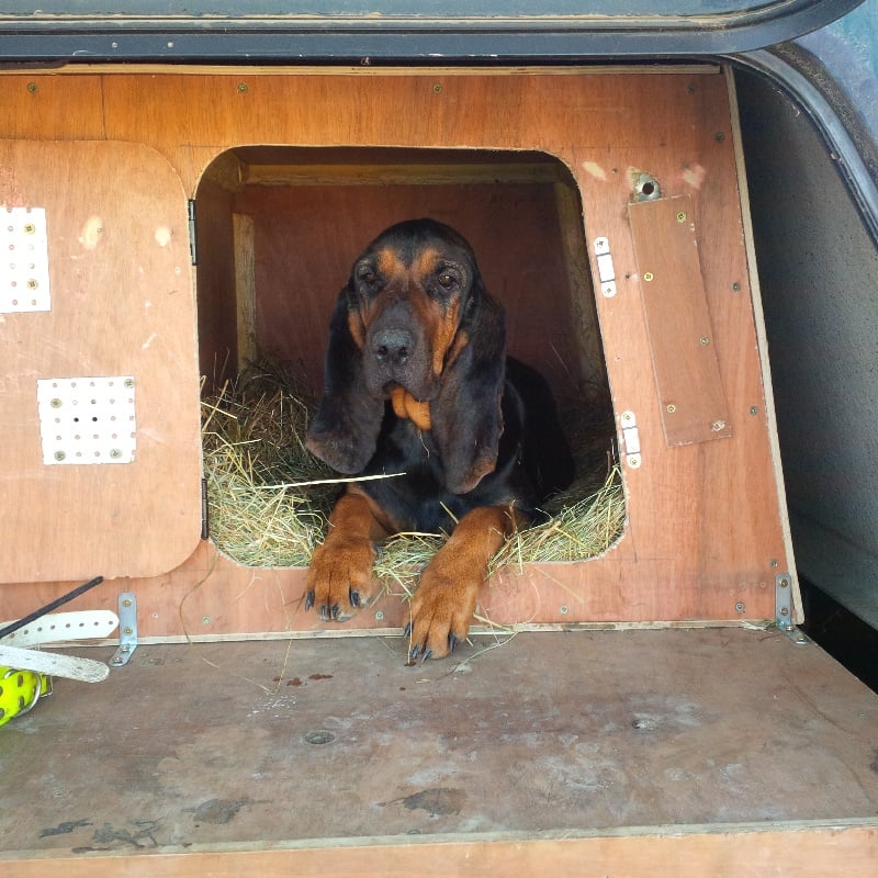 Publication : des Terres de Jossigny Auteur : Séb