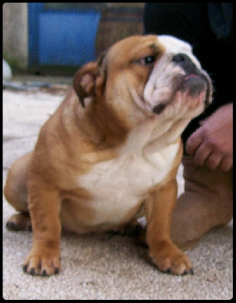 Publication : De la villenière