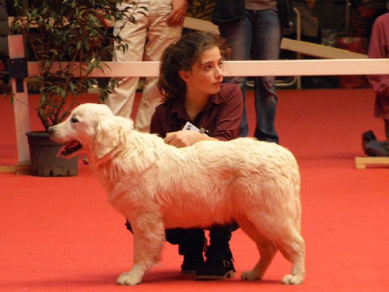 Publication : Du Moulin Sault Auteur : Mme Cholley