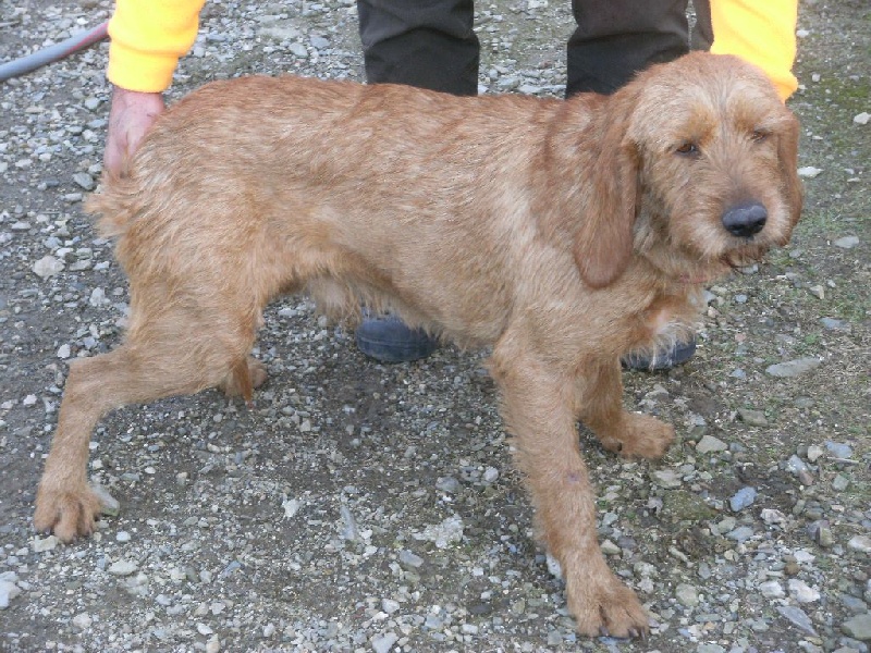 Publication : du rec de la borie 