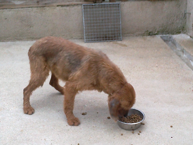 Publication : du rec de la borie 