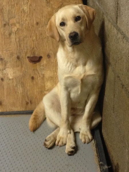 Publication : of Black And Sand Auteur : emilie ranieri