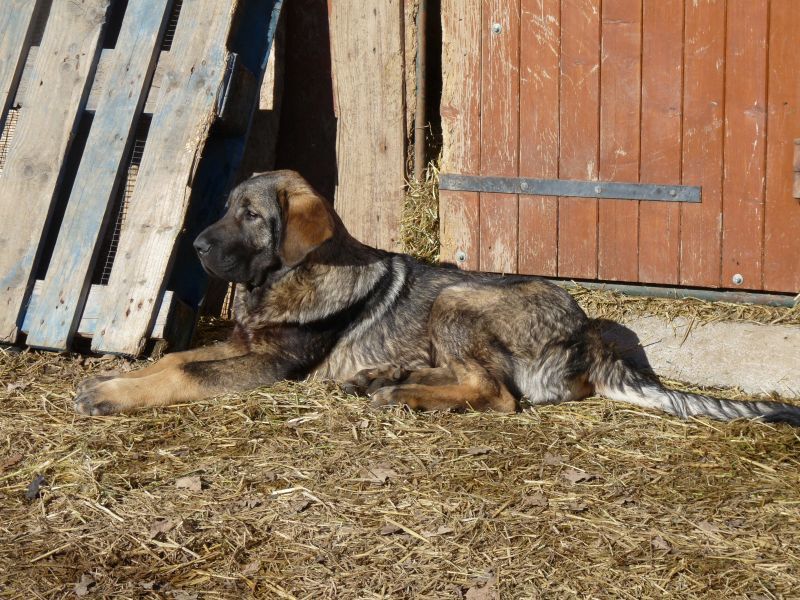 Publication : du Hogan des Vents Auteur : Mathieu Mauriès