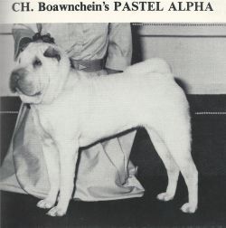 boawnchein's Pastel of alpha