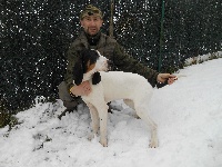 Étalon Ariegeois - Jeska i Du Coteau De La Versenne