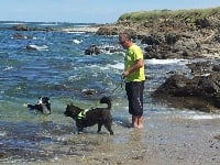 Étalon Kai - mijikai's Fujimi kuroï tenshi