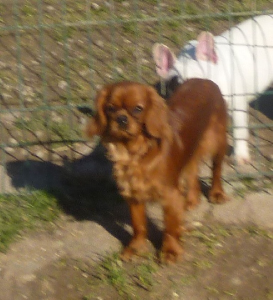 Publication : de la maison du ryez