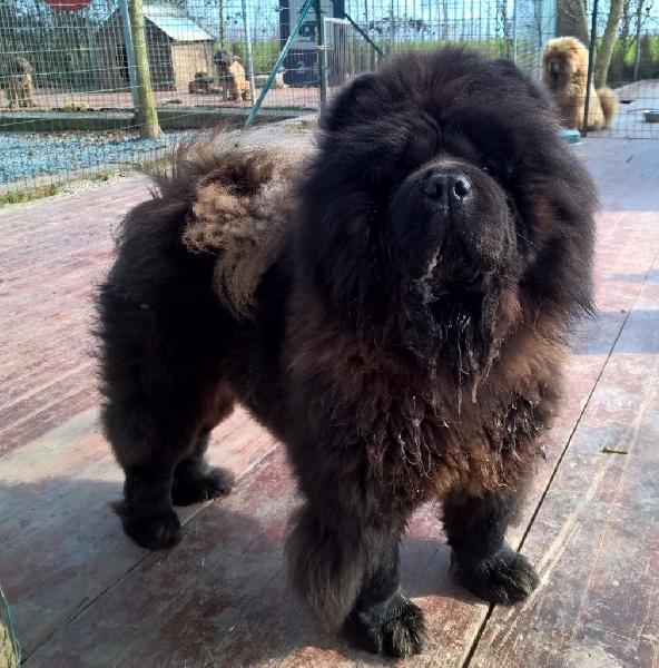 Publication : Le domaine de fabadel 