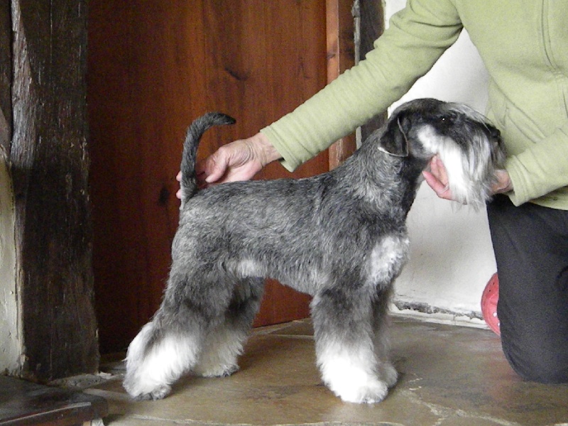 Publication : des forbans du Roc d'Hervieux